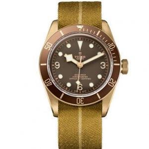 إصدار Tudor Bronze v6 الذي يحمل الاسم الرمزي "Bronze Flower" M79250BM-0003