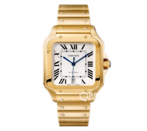 BV Cartier New Santos (Women's Medium) Case: 316 Material Dial 18K Gold Watch