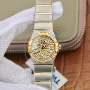 TW Omega Women's Constellation Series 27mm Quartz Guarda originale un modello invisioschesse In acciaio